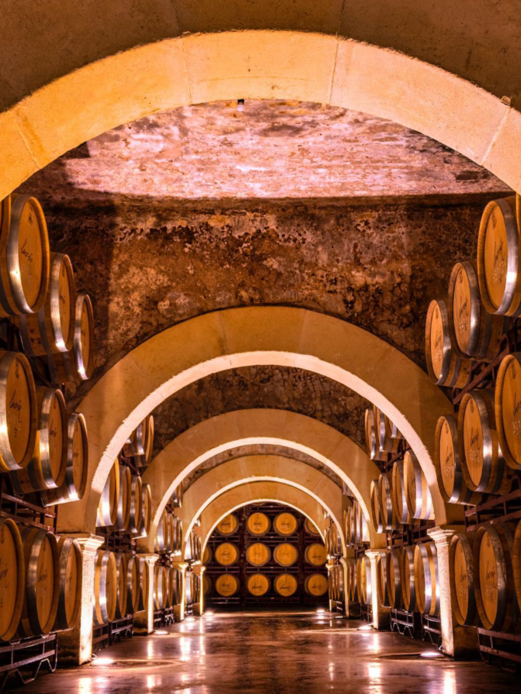 Bodegas Luzón