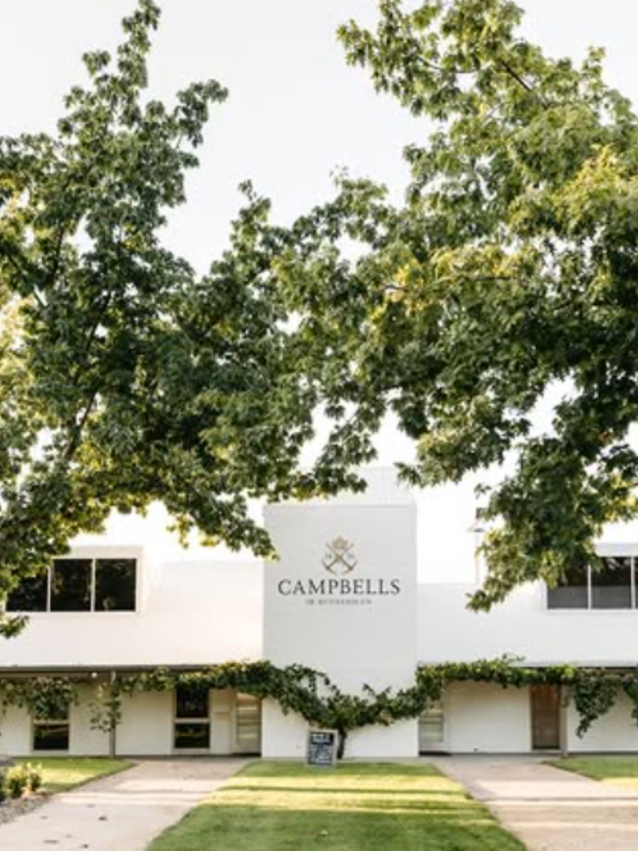 Campbells Wines