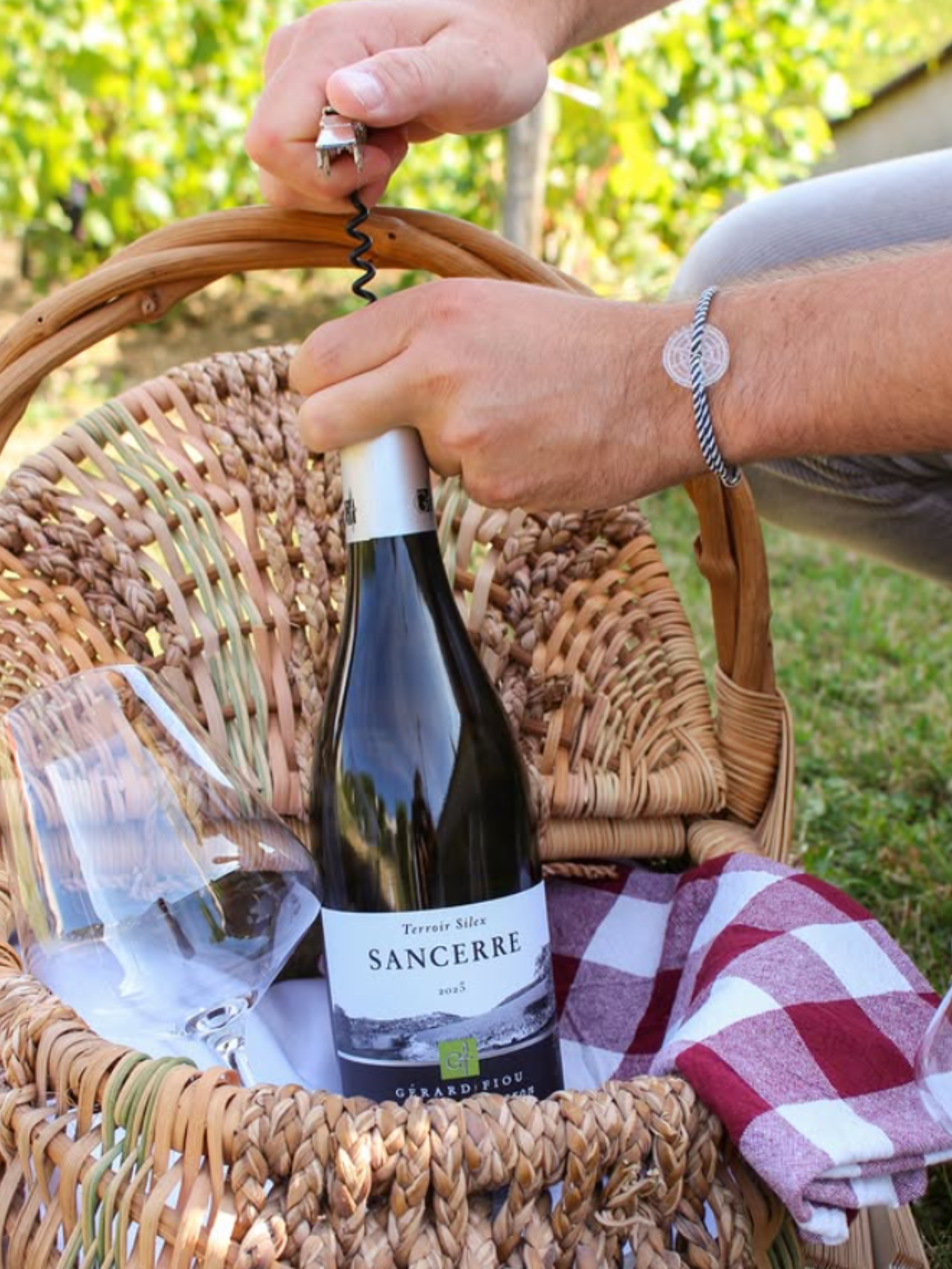 Domaine Gérard Fiou
