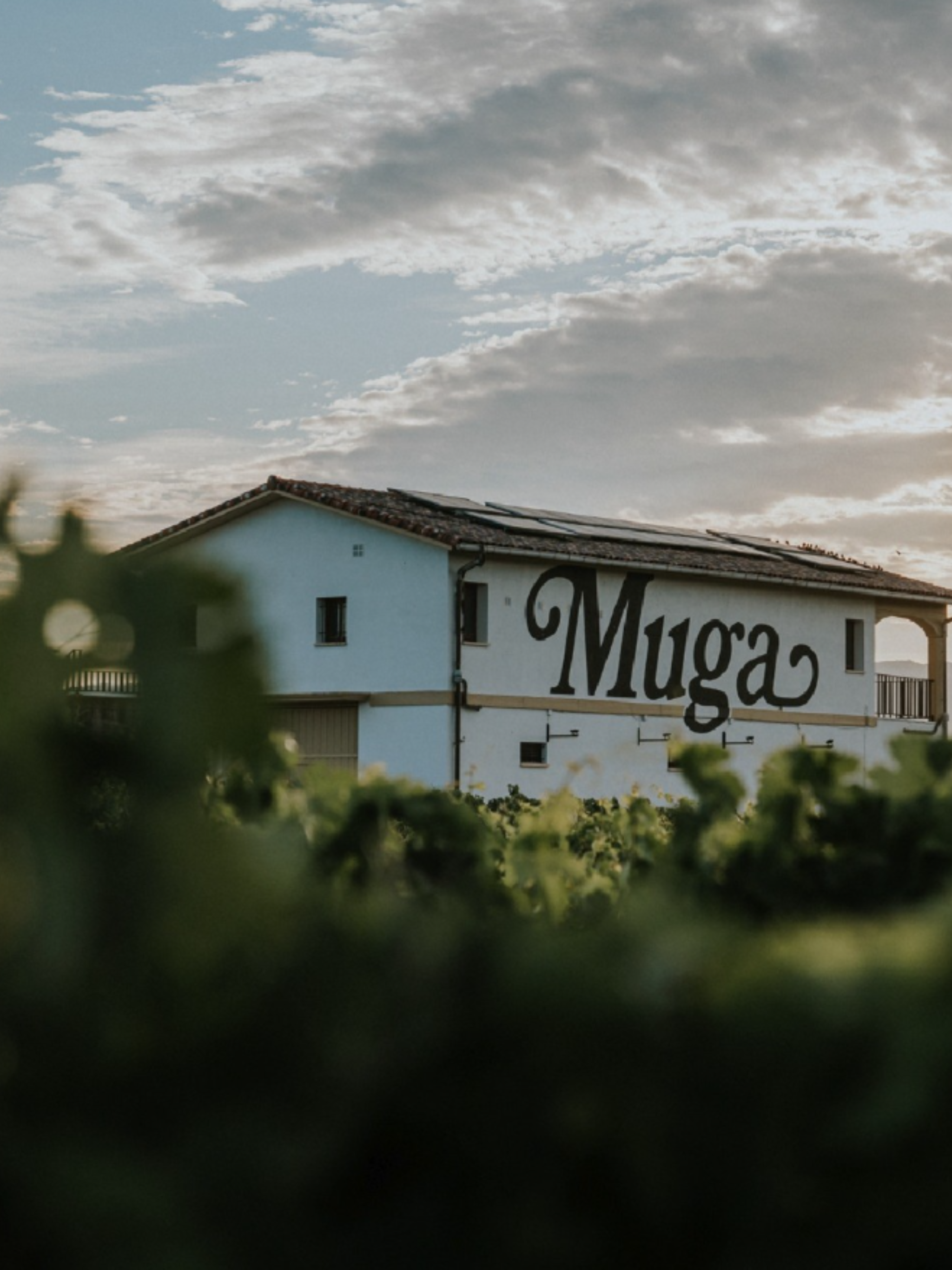Bodegas Muga