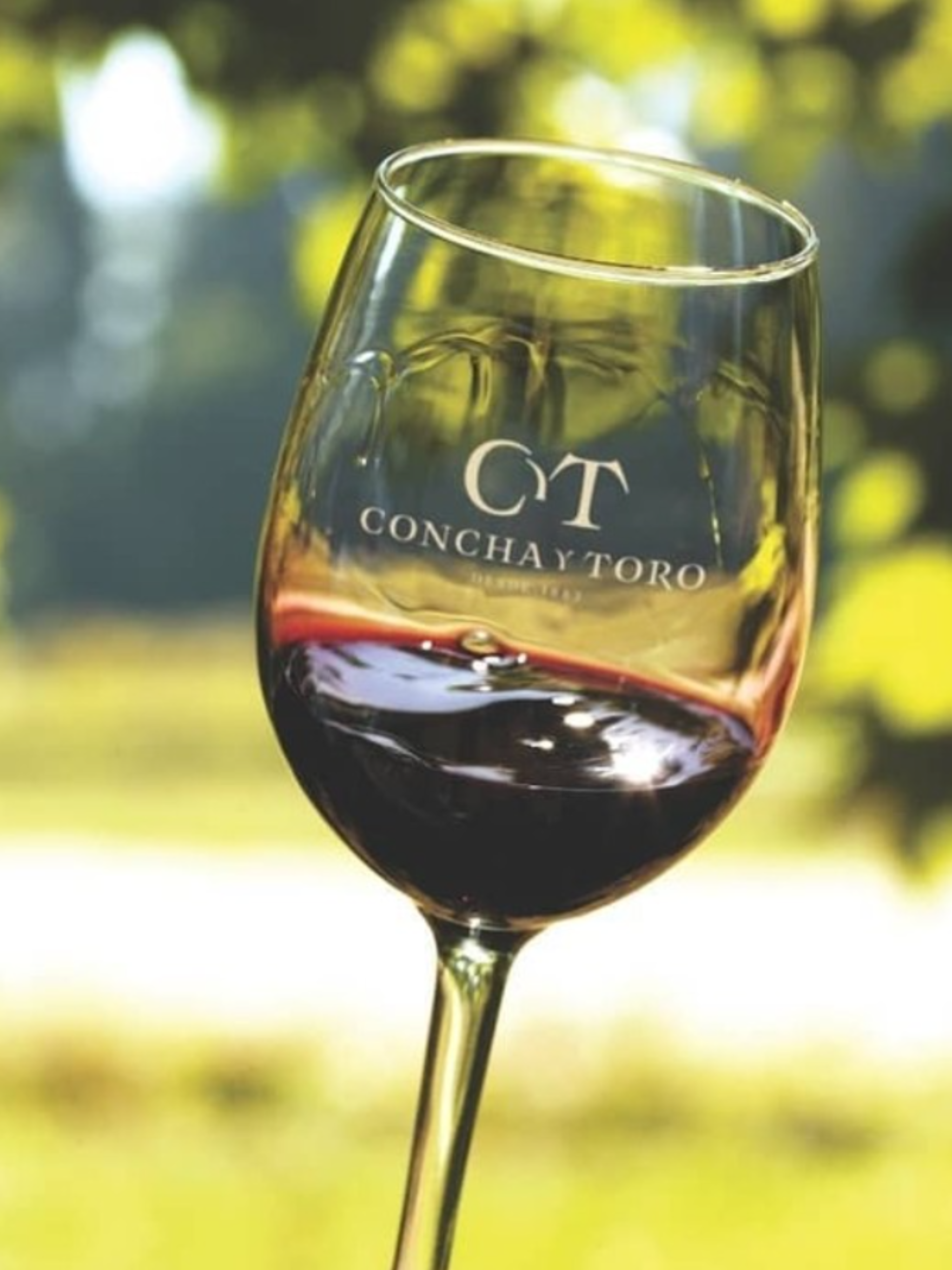 Concha y Toro