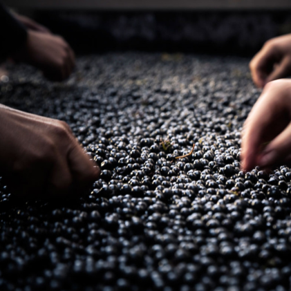 winefutures
