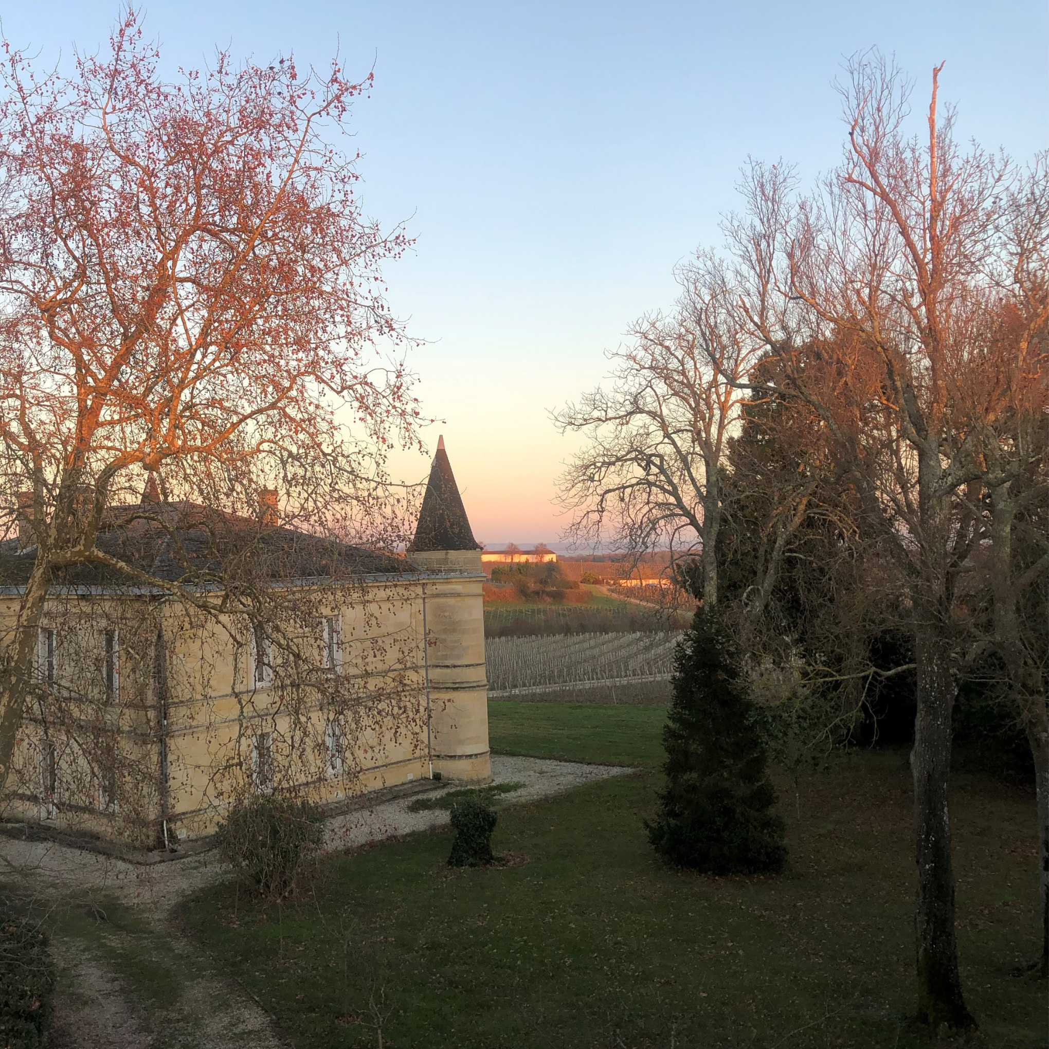 winefutures